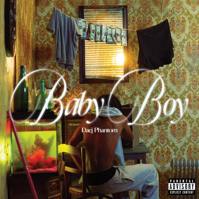 Couverture de Baby Boy