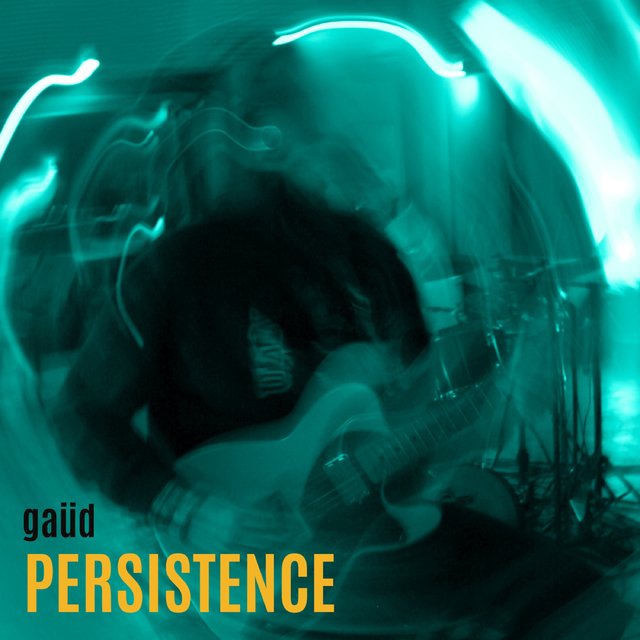 Couverture de Persistence