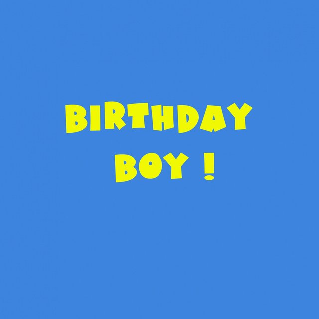 Couverture de Birthday Boy !