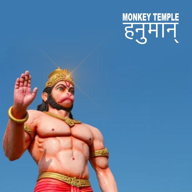 Couverture de Monkey Temple