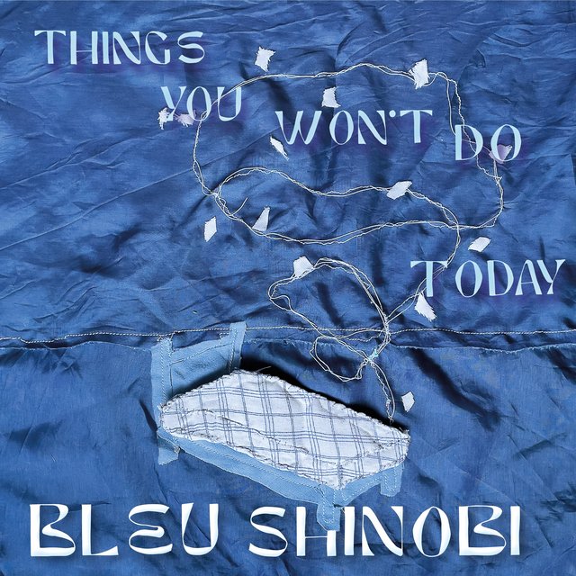 Couverture de Things You Won't Do Today