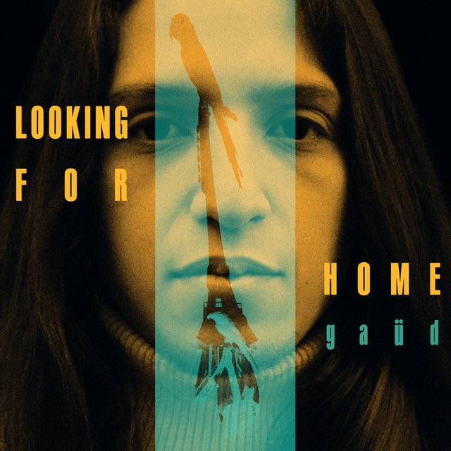 Couverture de Looking for Home