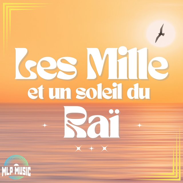 Les mille et un soleils du raï