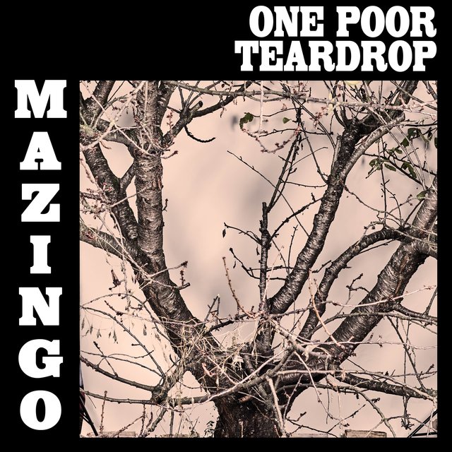 Couverture de One Poor Teardrop