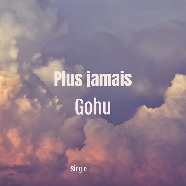 Couverture de Plus jamais