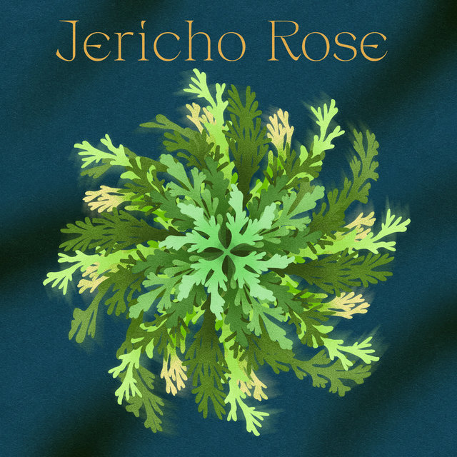 Couverture de Jericho Rose
