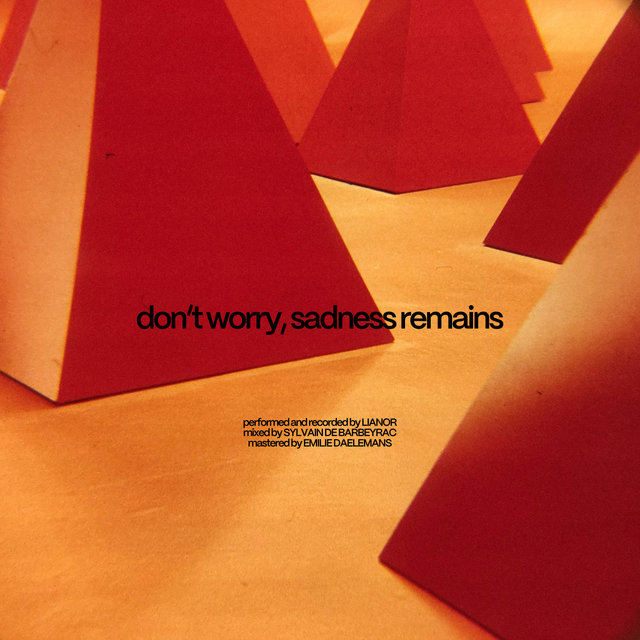 Couverture de don't worry, sadness remains