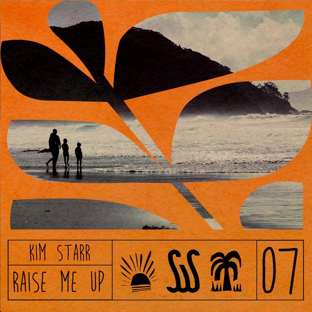 Couverture de Raise Me Up