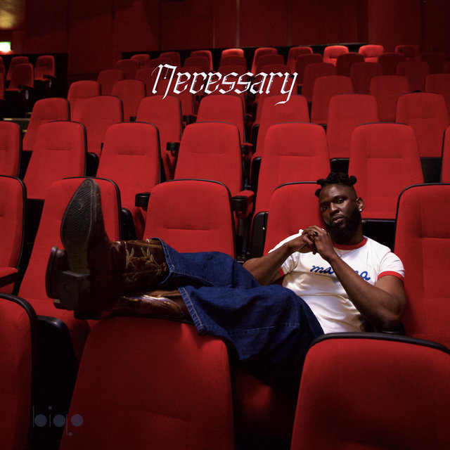 Couverture de Necessary