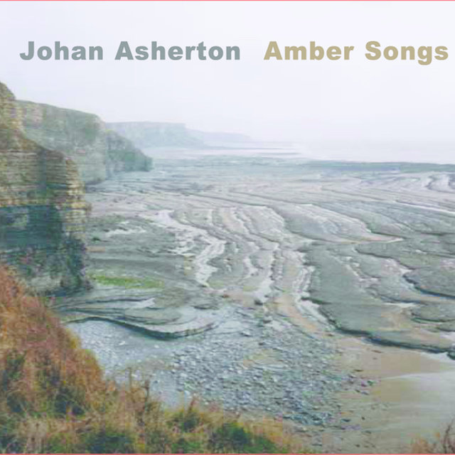 Couverture de Amber Songs