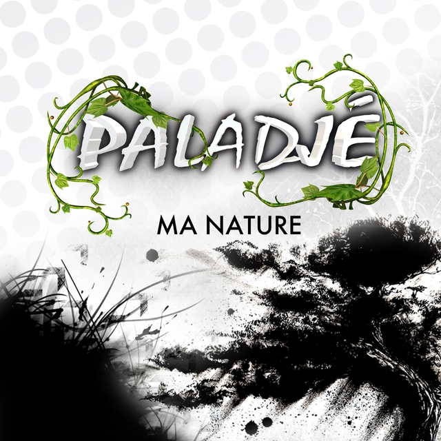 Couverture de Paladje