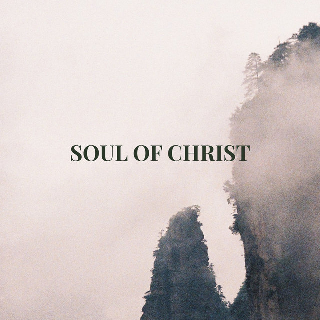 Couverture de Soul of Christ