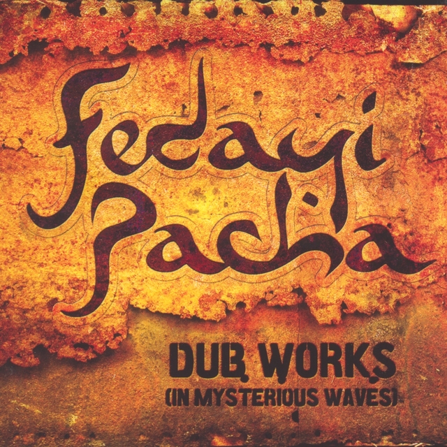 Couverture de Dub works (in mysterious waves)