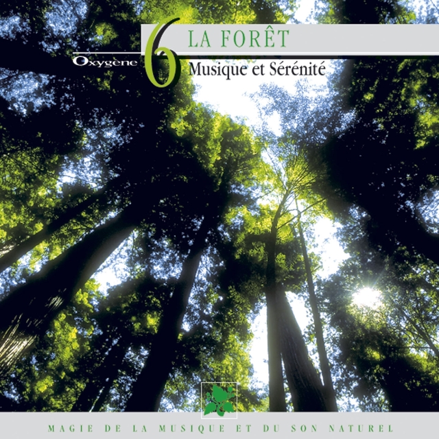 Oxygène 6 : La forêt