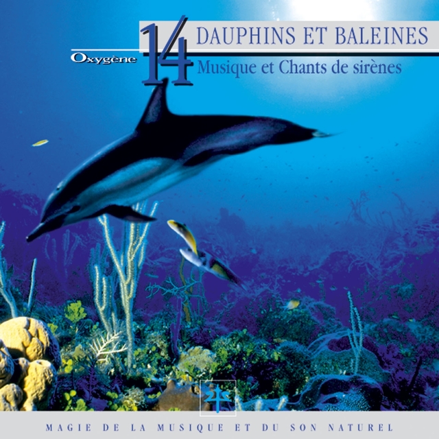 Couverture de Oxygène 14 : Dauphins et baleines