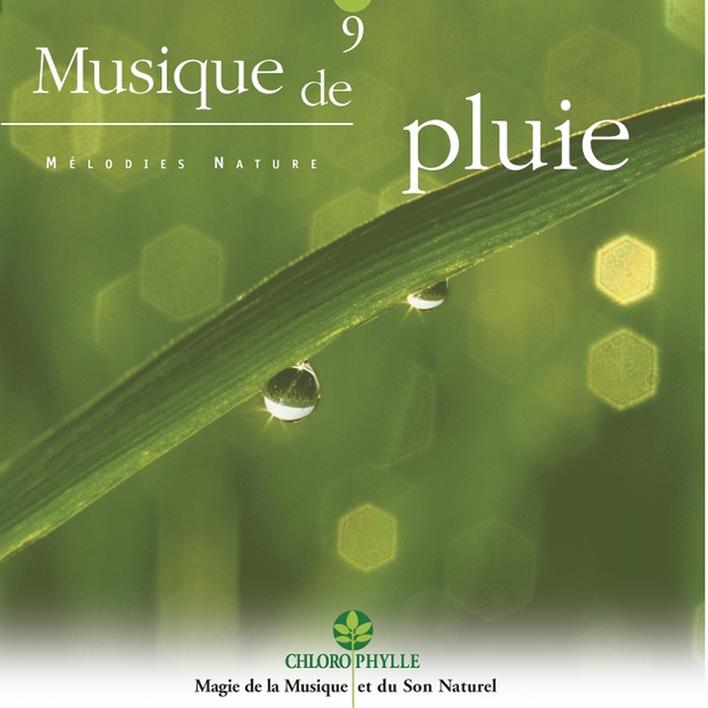 Chlorophylle 9 : Musique de pluie