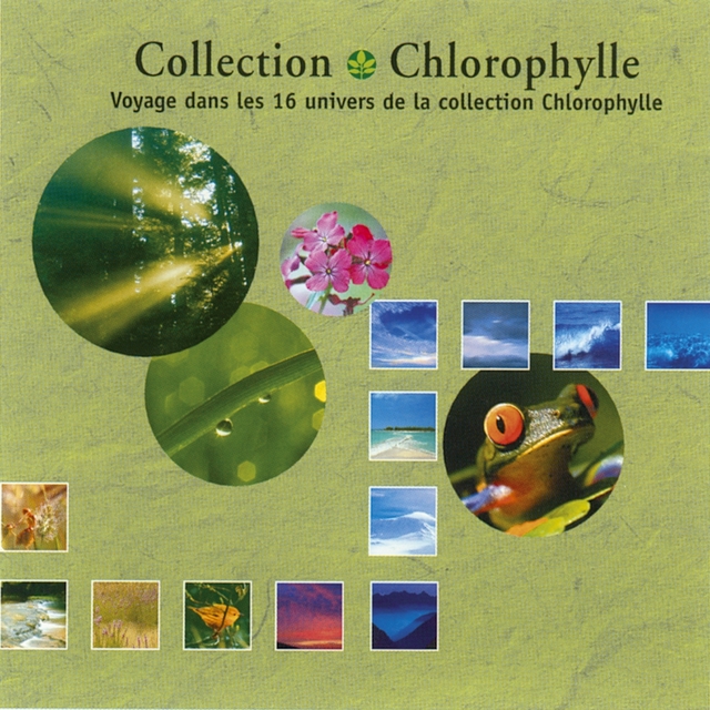 Chlorophylle: compilations