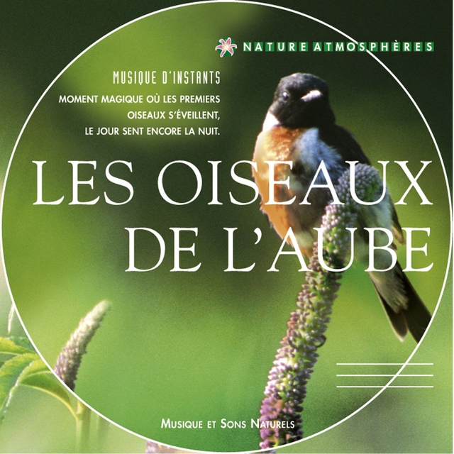 Nature atmosphères : les oiseaux de l'aube