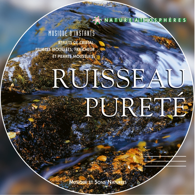 Nature atmosphères: ruisseau pureté