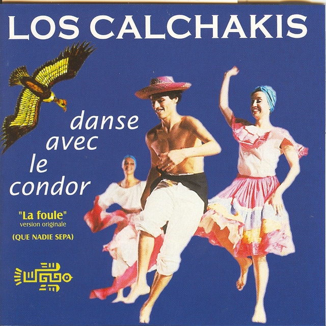 Couverture de Danse avec le condor