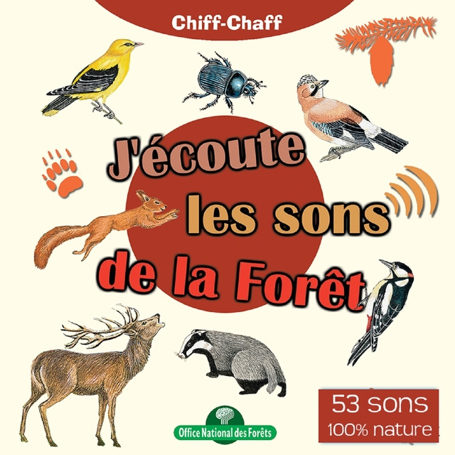 J'écoute les sons de la forêt