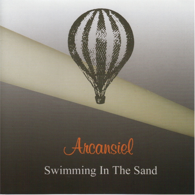 Couverture de Swimming In the Sand (the Best of 1988-2004)