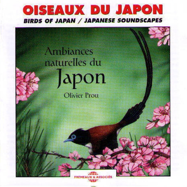 Oiseaux du Japon - Birds of Japan