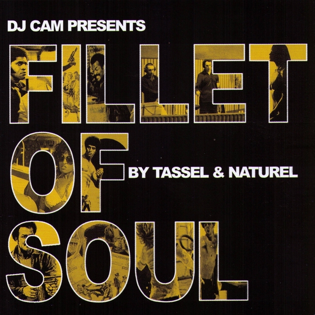 Couverture de Fillet Of Soul