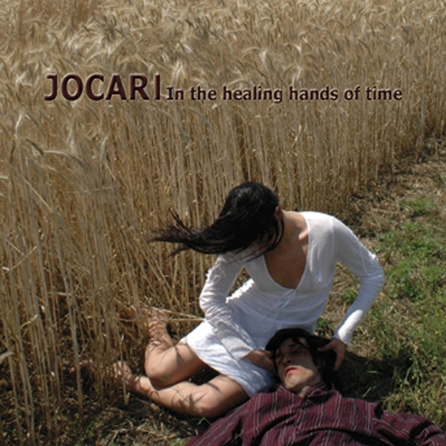 Couverture de In The Healing Hands Of Time