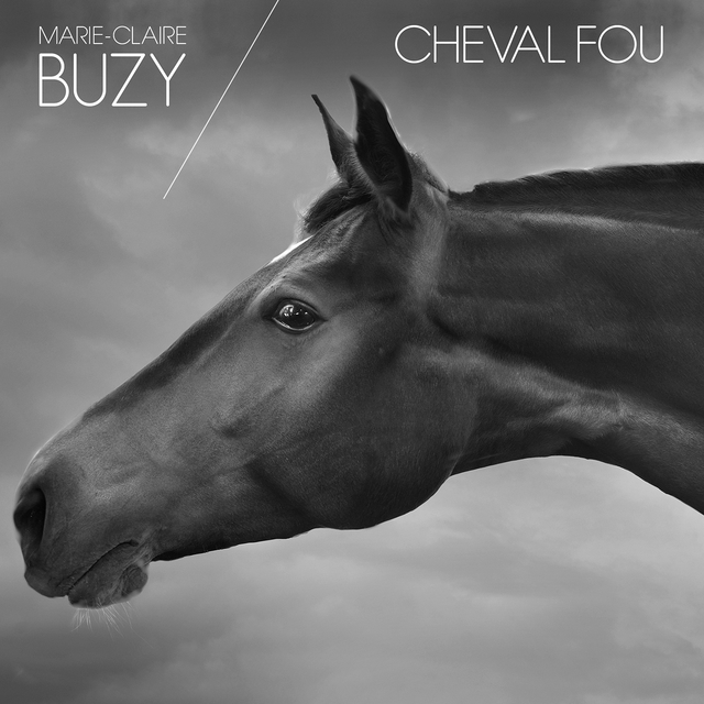 Couverture de Cheval fou