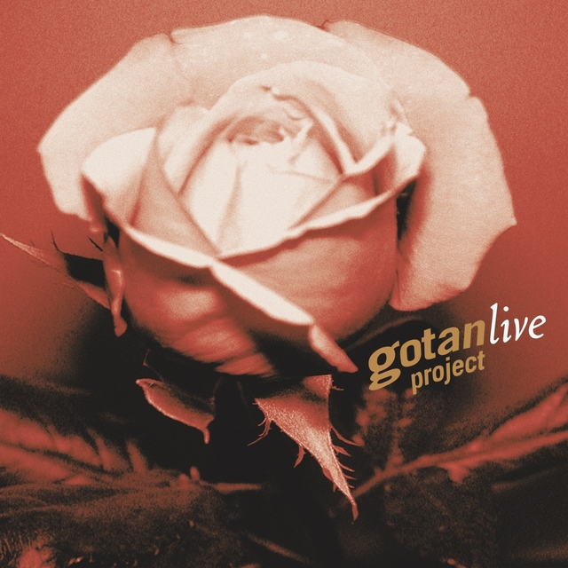 Couverture de Gotan Project live