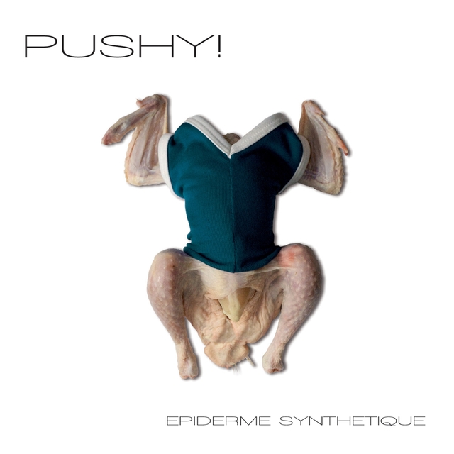 Couverture de Épiderme synthétique