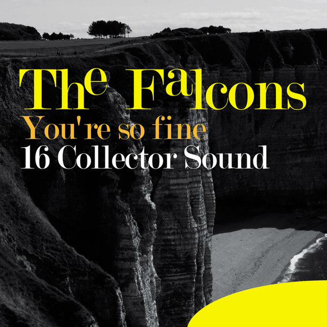 You're so Fine (16 Collector Sound)