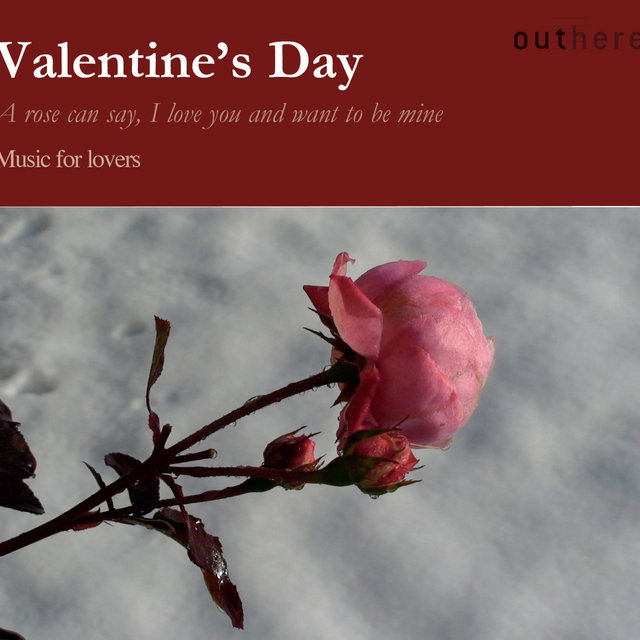 Couverture de Valentine's Day