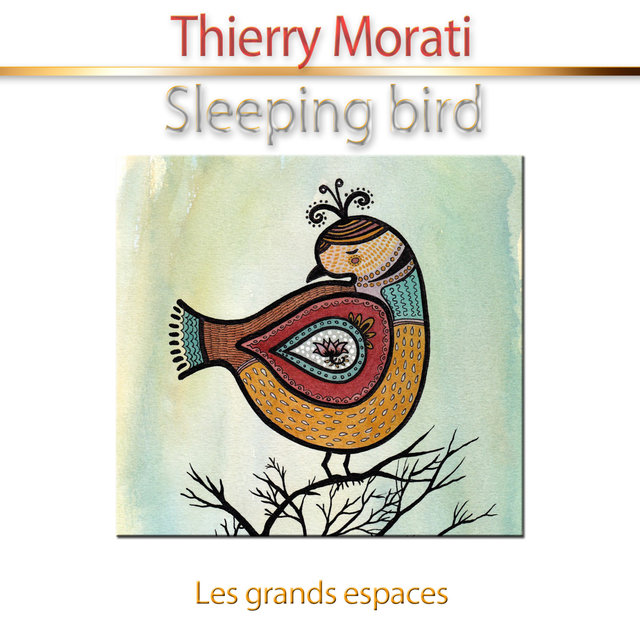 Sleeping Bird (Les grands espaces) [Relaxation]