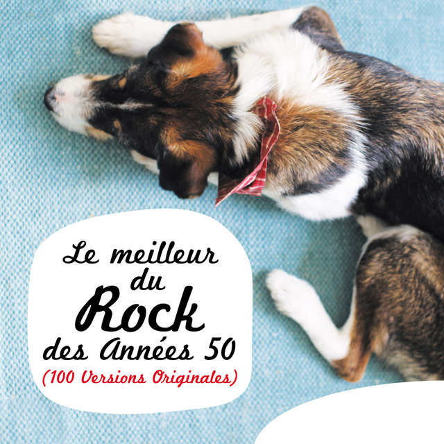 Le meilleur du rock des années 50 (100 Versions originales)