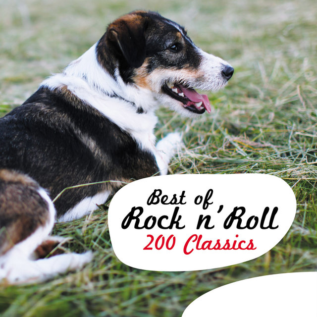 Couverture de Best of Rock N' Roll - 200 Classics