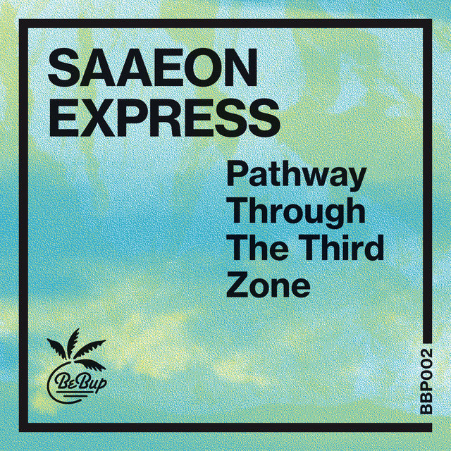 Couverture de Pathway Through the Third Zone - EP