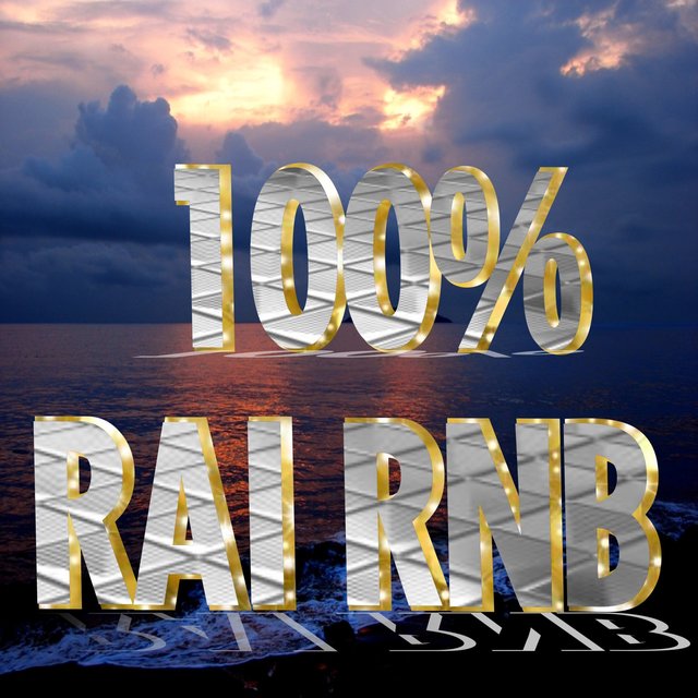 Couverture de 100% Raï RnB