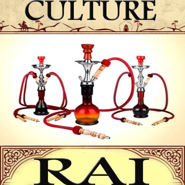 Couverture de Culture Raï