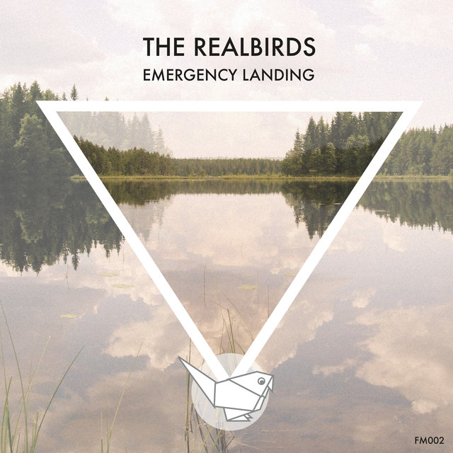 Couverture de Emergency Landing - Single