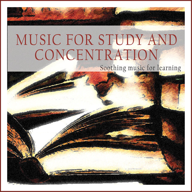 Music for Study and Concentration (Soothing Music for Learning)