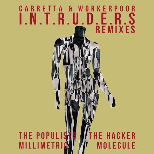 Couverture de I.N.T.R.U.D.E.R.S (Remixes)