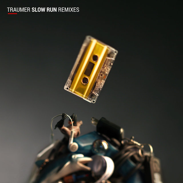 Couverture de Slow Run (Remixes)