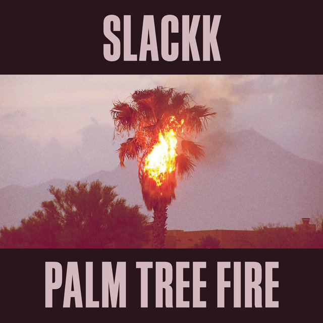 Couverture de Palm Tree Fire