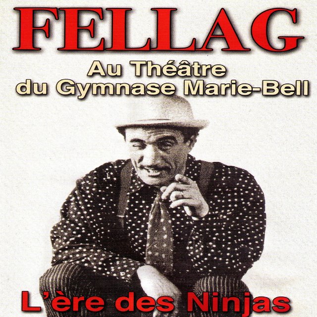 L'ère des ninjas (Au théâtre du gymnase Marie-Bell)