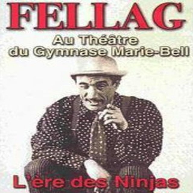 L'ère des ninjas (Au théâtre du gymnase Marie-Bell)