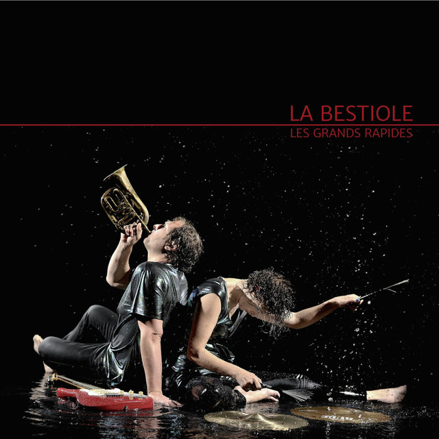 Couverture de Les grands rapides - Single