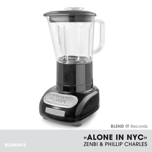 Couverture de Alone in NYC