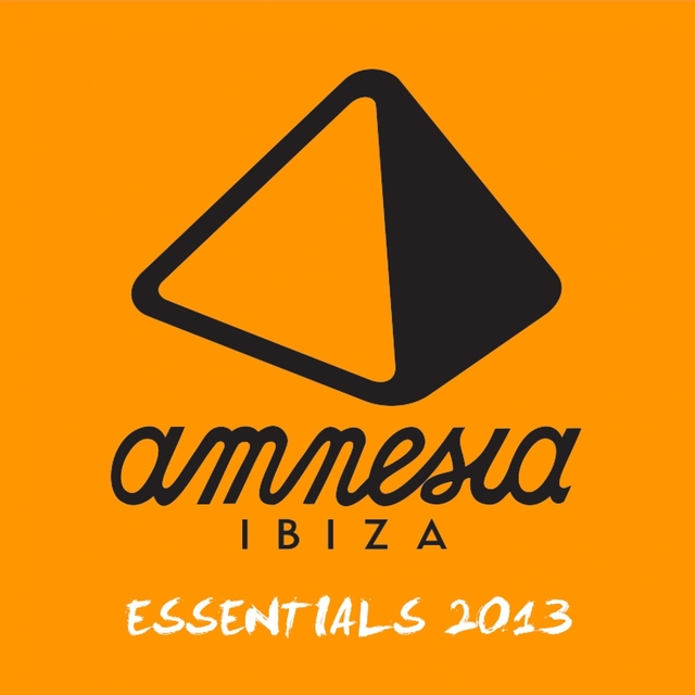 Couverture de Amnesia Ibiza Essentials 2013